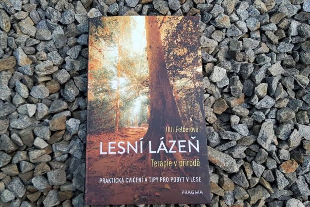 Kniha Lesní lázeň,  kterou napsala Ulli Felberová | foto: Andrea Poláková,  Český rozhlas,  Český rozhlas