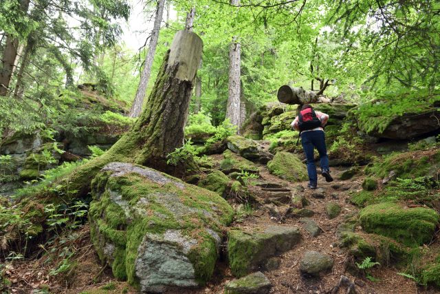 Výstup na Kraví horu | foto: Fotobanka Profimedia