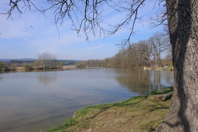 Třebínský rybník,  jedno z oblíbených míst Jiřího Bočka | foto: Jiří Boček