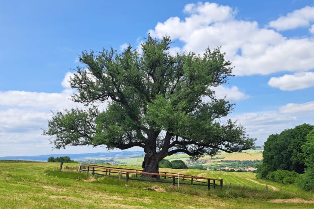 Ilustrační foto | foto: Michal Sladký,  Český rozhlas