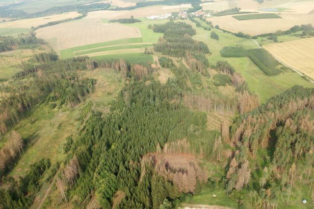 Při leteckém monitoringu lesníci a ochranáři zjišťovali,  jak vypadají lesy v lokalitách,  kde se vyskytuje kůrovec | foto: Jaroslav Fliegel,  město Třeboň