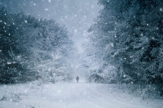 Ilustrační foto | foto: Shutterstock