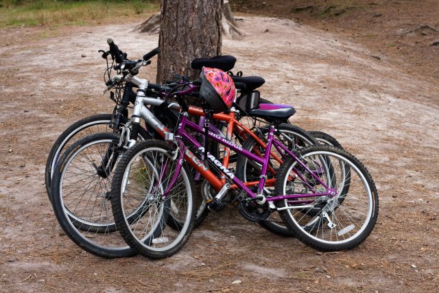 Když chybí kolostavy,  cyklisté musí nechat svá kola opřená třeba o strom | foto: Fotobanka Profimedia