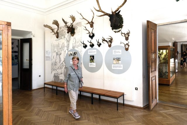 Muzeum v loveckém zámku Ohrada u Hluboké nad Vltavou | foto: Fotobanka Profimedia