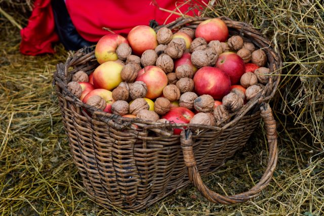 Nadílku zpravidla tvořily ořechy a jablka | foto: Shutterstock