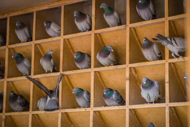 Ilustrační foto | foto: Shutterstock