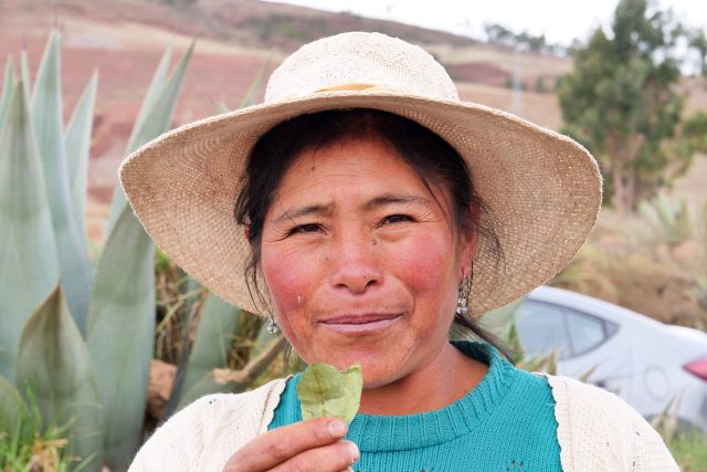 Obyvatelé Peru koku velmi často žvýkají | foto: Pavel Chlouba,  Český rozhlas