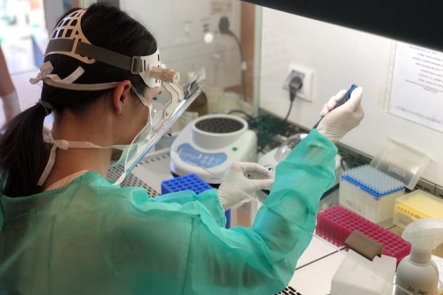 Vzorky se nově zpracovávají i v laboratoři strakonické nemocnice | foto: Nemocnice Strakonice