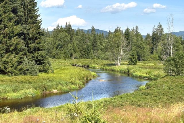 Vyhledávaná místa Šumavy | foto: Pavla Kuchtová,  Český rozhlas