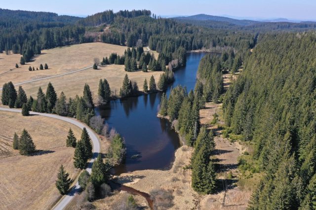 Pohořský rybník v Novohradských horách | foto: Petr Znachor,  Biologické centrum Akademie věd ČR