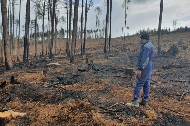 Následky velkého lesního požáru u obce Lštění na Prachaticku | foto: Anna Vrhelová,  Český rozhlas