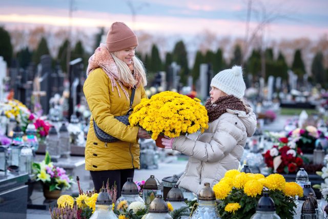 Ilustrační foto | foto: Shutterstock