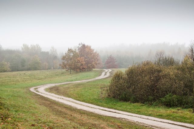 Ilustrační foto | foto: Shutterstock