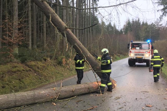 Hasiči odklízení spadlý strom po vichřici u obce Ločenice na Českobudějovicku | foto: HZS Jihočeského kraje